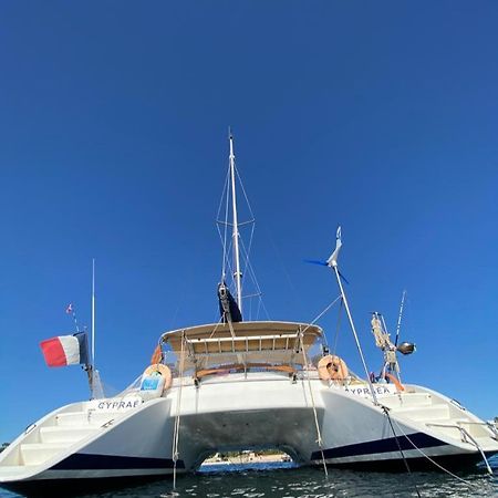 Hotel Catamaran Cypraea Terre-De-Haut Exterior foto