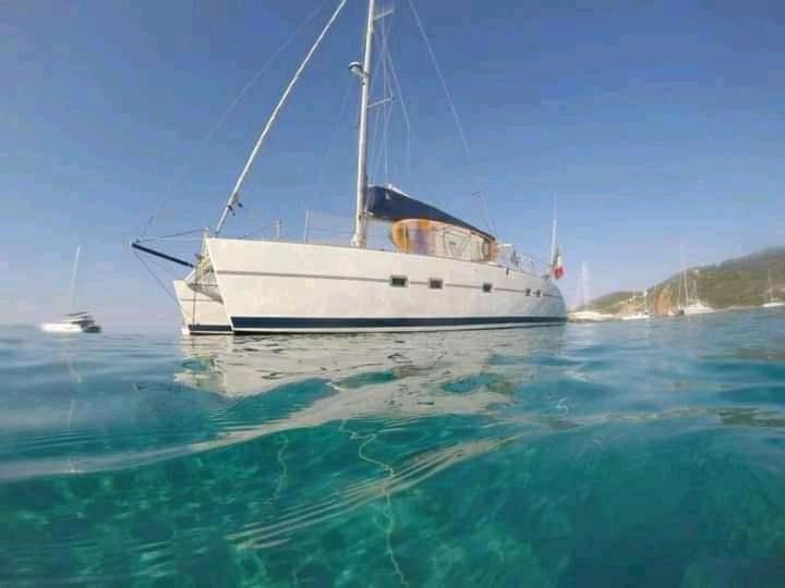 Hotel Catamaran Cypraea Terre-De-Haut Exterior foto