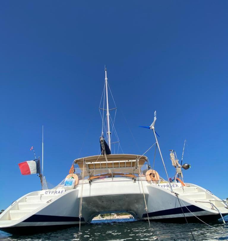 Hotel Catamaran Cypraea Terre-De-Haut Exterior foto
